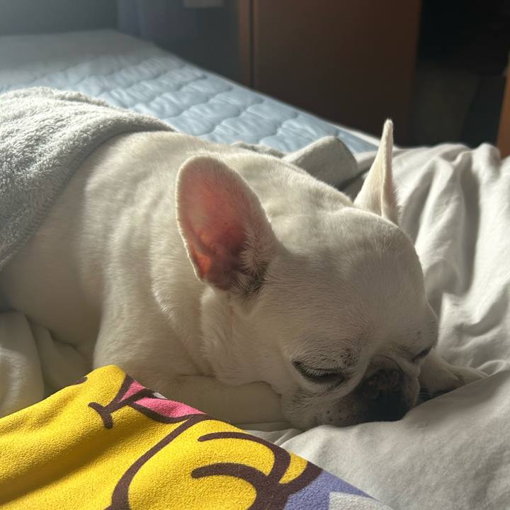 83a9f7c7 de17 421a bde5 1593be1fcba9 1727180456478