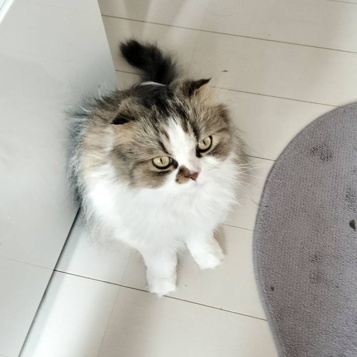 83aa6a4e d710 4f2e b83a f03afa4cfba7 1773612805387