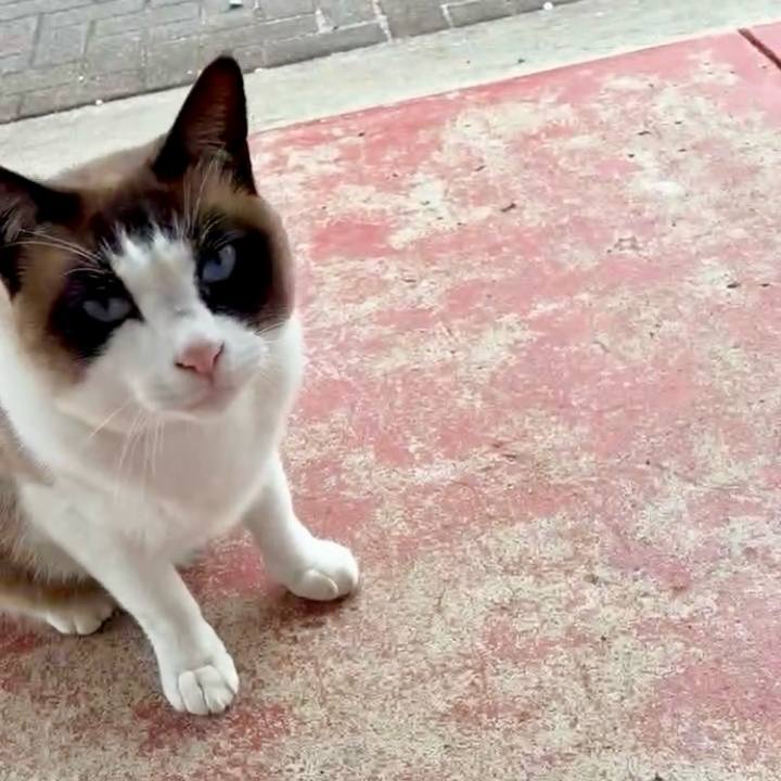 83aaa1a1 6c65 46e6 9825 0eaeeb1e1afb 1746963961402