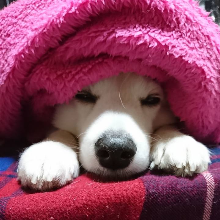 83aac73a a0c6 417c 8f7b 45b48de9388b 1641860506234