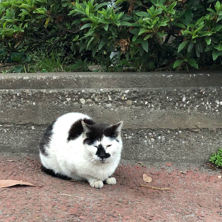 83aafdfa b10b 4442 8ed4 61a6fcd38a69 1527860681306