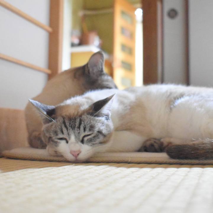 83ab0a80 03cb 4313 900e e765ac67a17a 1527683549563