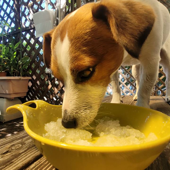 83ab17ae dfef 4820 bbdc 28b02c53bd0c 1660095066696