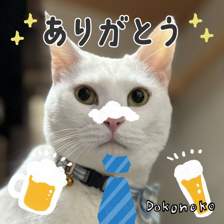 83ab52bd b3b7 41bf 867d bf307b7e1d98 1717681984276