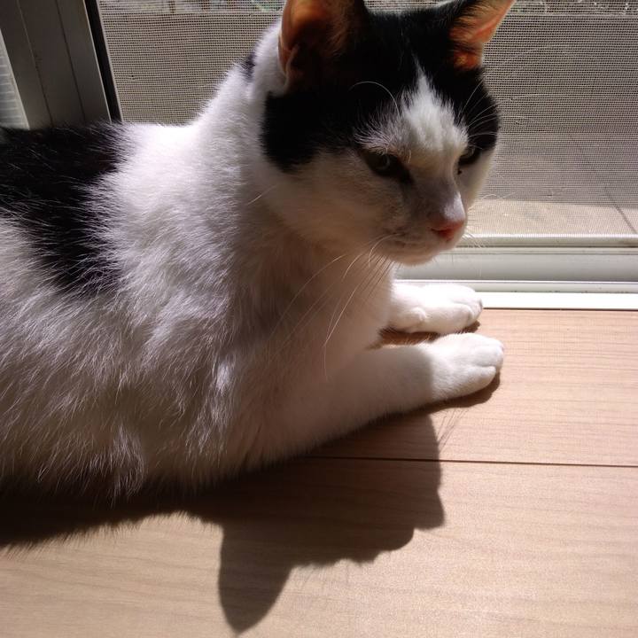 83ab8b0b 72d2 4da4 abd3 1f2ff1712067 1522323413388