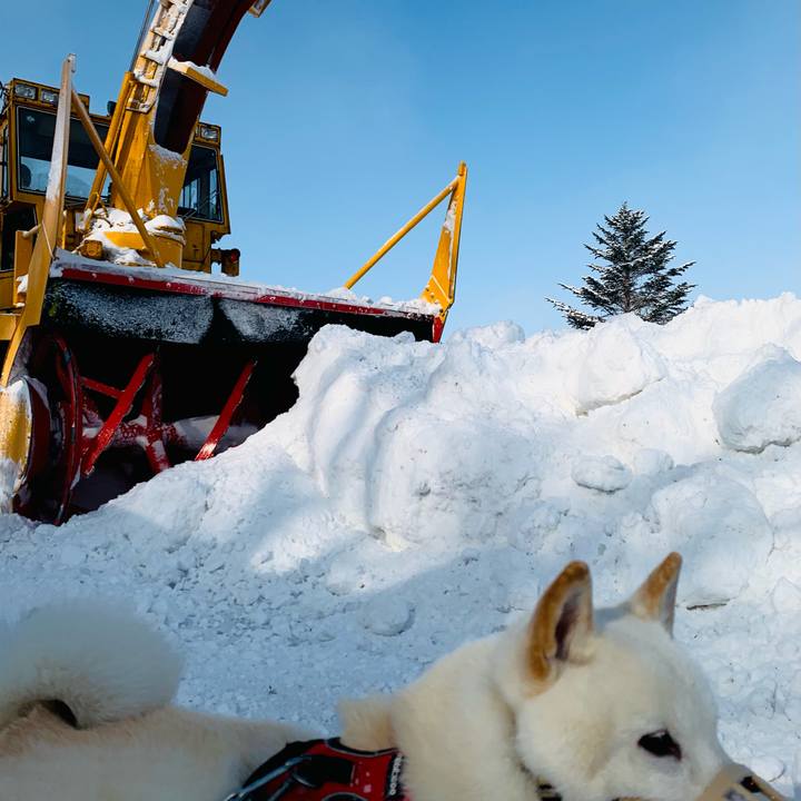 83ab8fcd 3fac 4346 a3d9 398f79709ccc 1611466188656