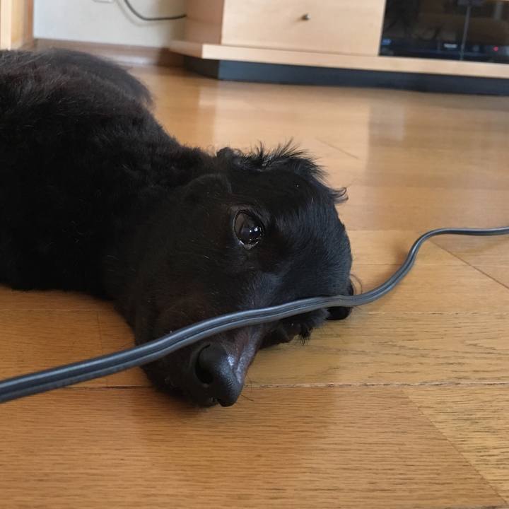 83aba999 ac3a 47b4 9c24 26a1493125ba 1531436414047