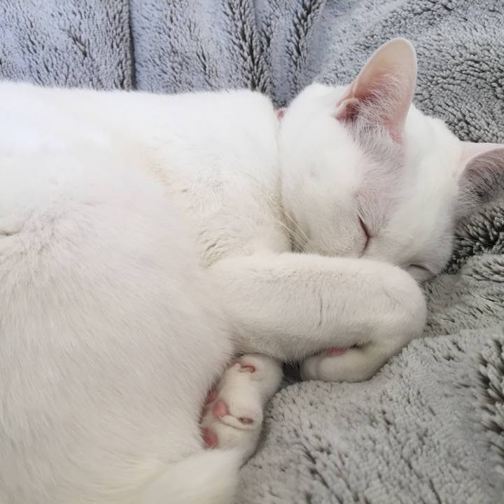 83abb5aa 6cd7 4400 a6d8 2b2158c3fb22 1516758870713