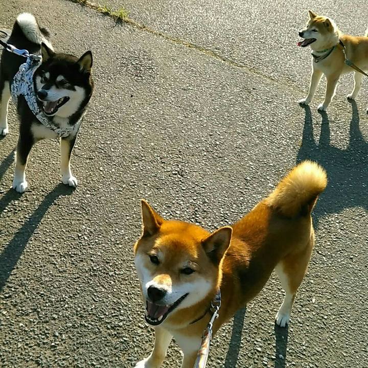 83abb8ef fae5 4c39 9c73 c38f9161e2c9 1559208797236