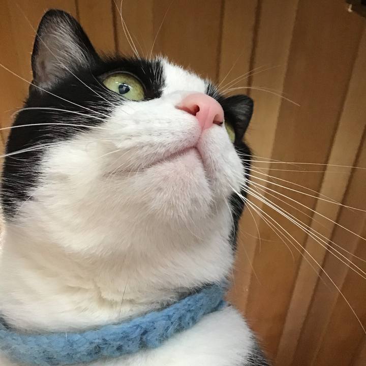 83abc9ba 7a24 4356 879b 1ed535e47c4d 1747646112952