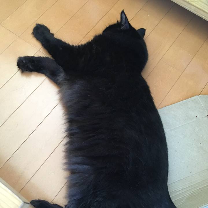 83abdd6b c6b5 4cf3 a34d 93d3ac68c902 1536191800300