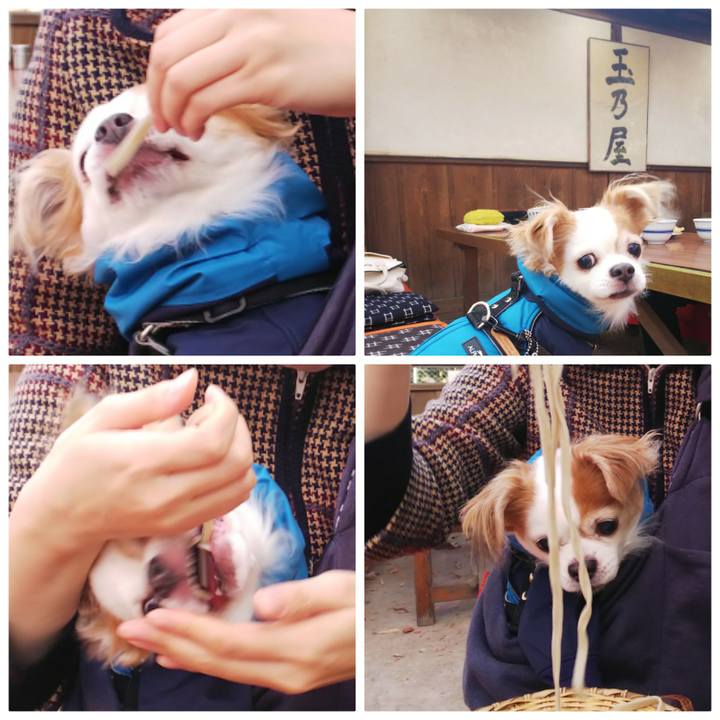 83abe618 773f 4496 bb94 764b33db8e1d 1576393696224