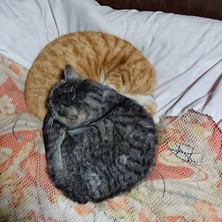 83abe987 4c3e 4088 aa4e aab5f2210443 1584966319566