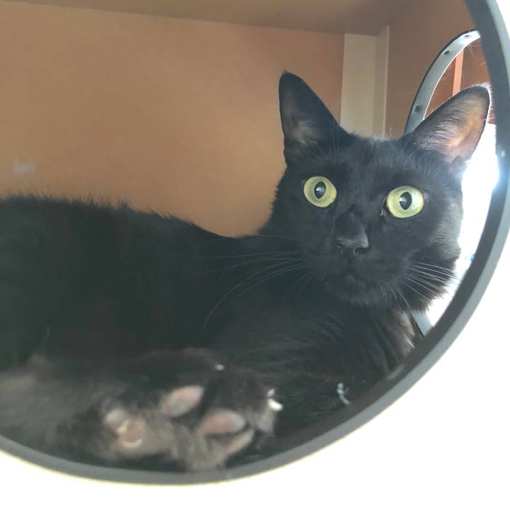 83abf25e 38bd 43e2 9fed 221766c91a08 1533985877413