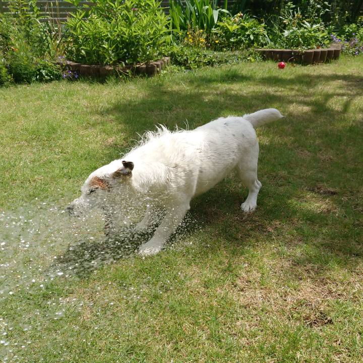 83ac4664 015a 46ee 8a76 62f7b19f9ab2 1531696576035