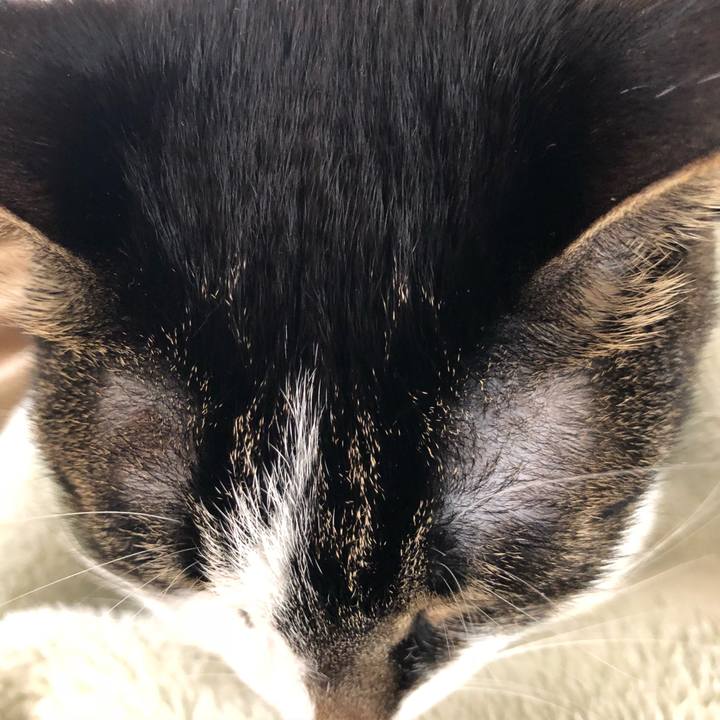 83ac7bbb dc99 4ead bd0d 4449dffba5e8 1523057965131