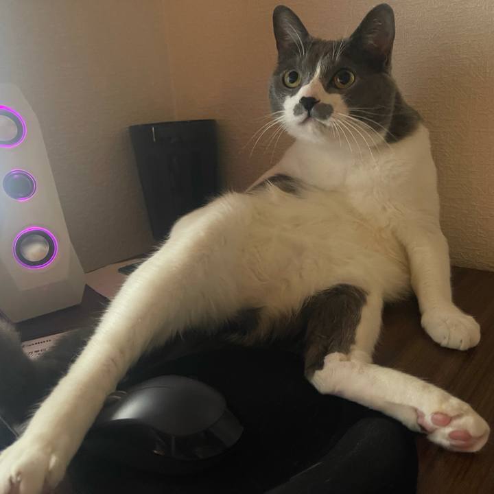 83ac9169 95c6 4644 95aa befe0acfa7e1 1645273410327