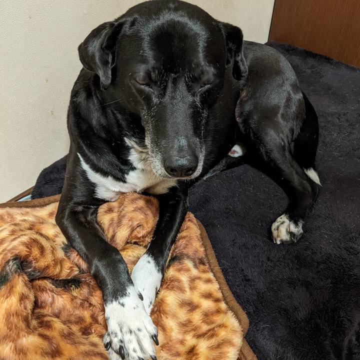 83acb1a3 3f5f 47a7 a34f eb1a4b54df7e 1709253175292