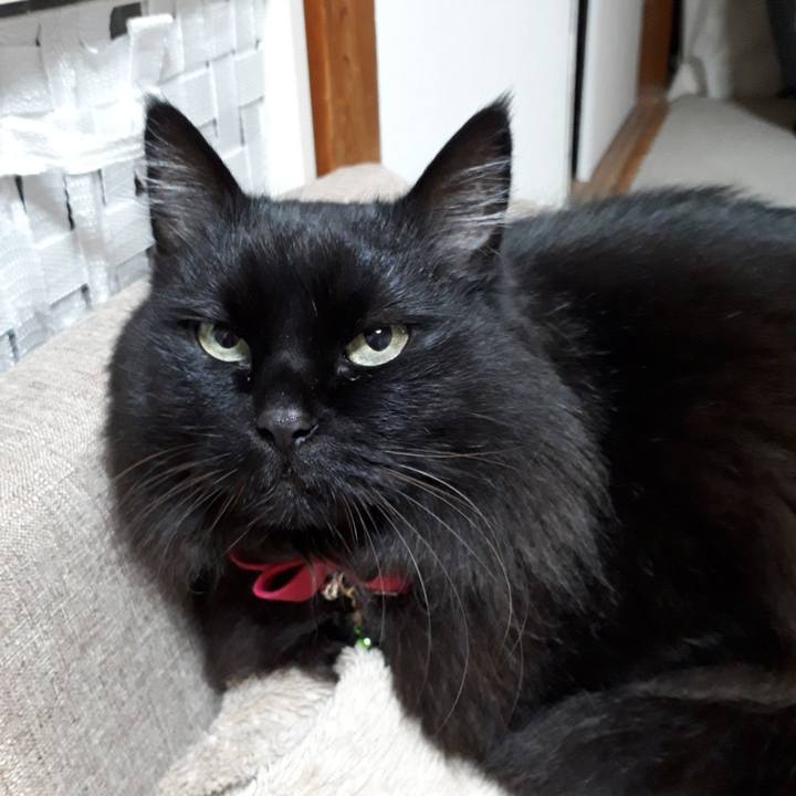 83aceb73 42f2 4cca 825c 01fb1fcb6e3e 1519067796859