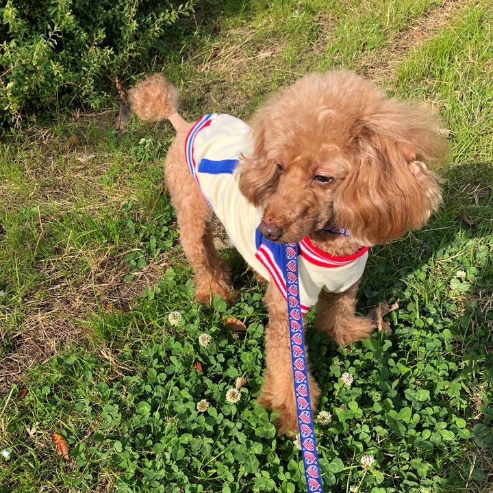 83acf14e 8982 4441 b507 5cfbb4d3128a 1637543715668