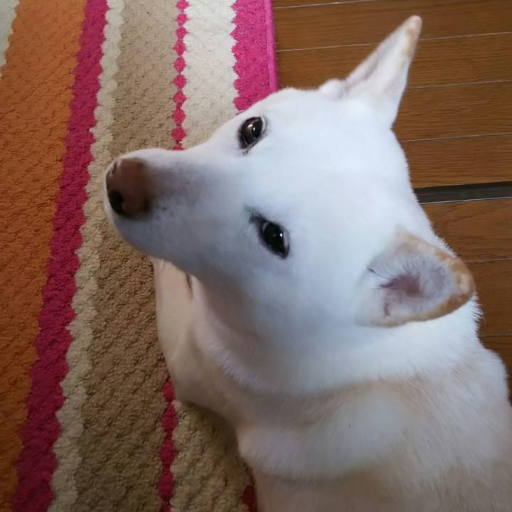 83ad187a ee24 4d76 9991 62c25282a2b1 1520986795155