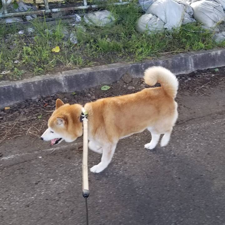 83ad18b0 d895 4499 8a20 c9b8b2b84dc1 1657183746788