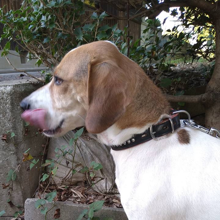 83ad240d bec1 4318 a4b8 ac4f0213d239 1631001026366