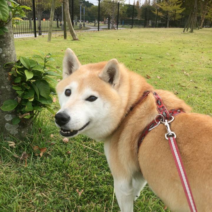 83ad2471 e218 4865 8ce4 cb18cfdd9282 1542018570233