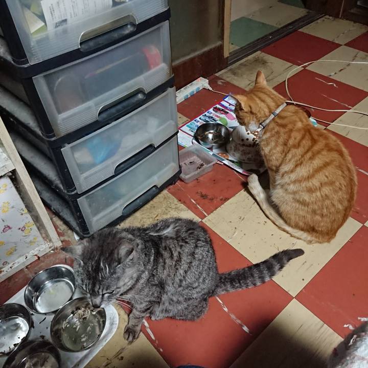 83ad2671 8dfb 4b21 b189 f708461d2c2b 1593806026617