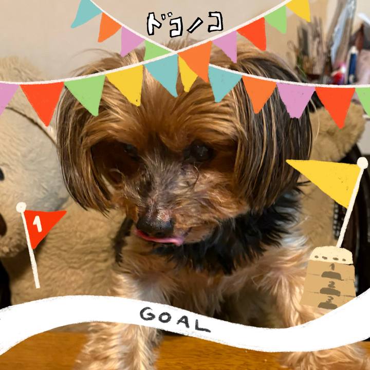 83ad28bb 90dc 490d b109 78061779cfdd 1729169638439