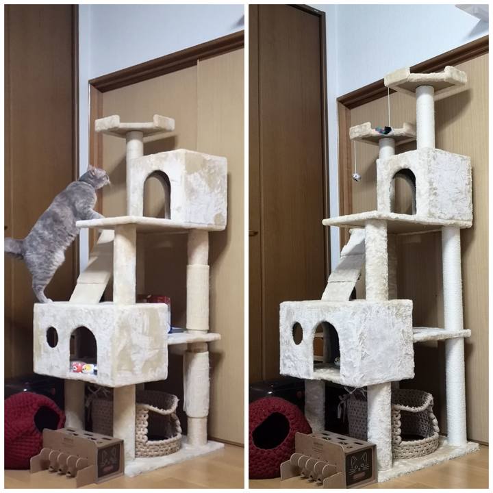 83ad3d9b 83e8 4bba b80b a088204b5bdf 1578791579550