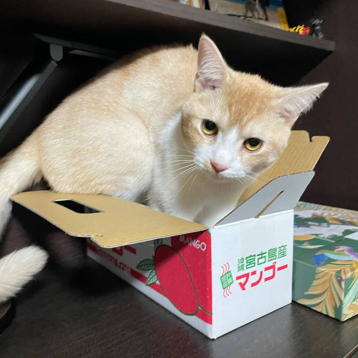 83ad5a4d e12b 458a 9dee 013051103b4c 1625372053087