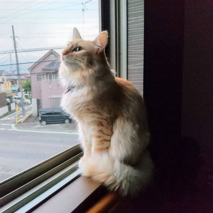 83ad5cca 4371 4396 b13e 4e93d502ea0d 1631829438417