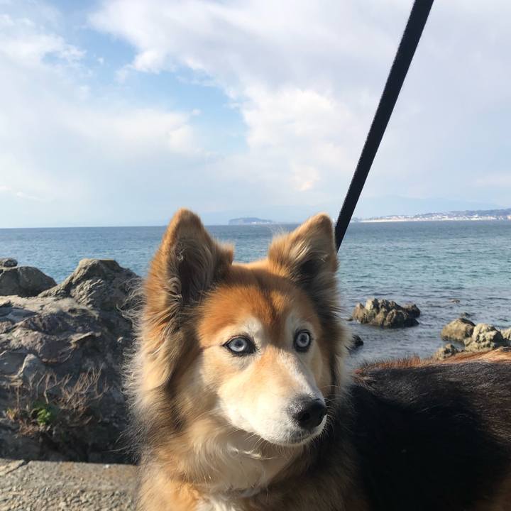 83ad7066 4677 4ec0 a0b2 1715ec91b87e 1642672031467