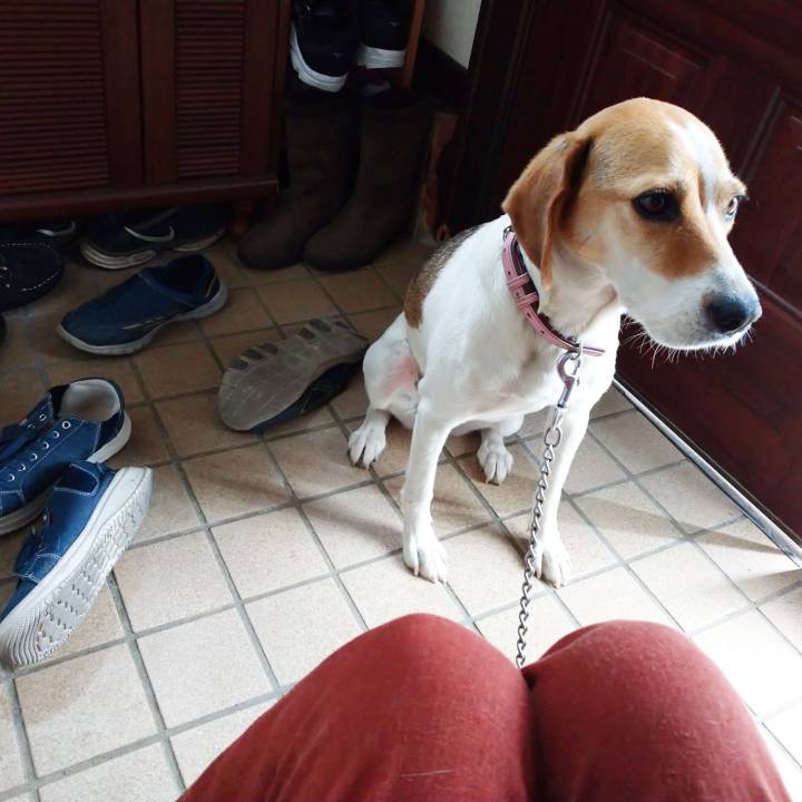 83ad7802 fa4f 4a50 81ca 778bafa2be52 1593057450142