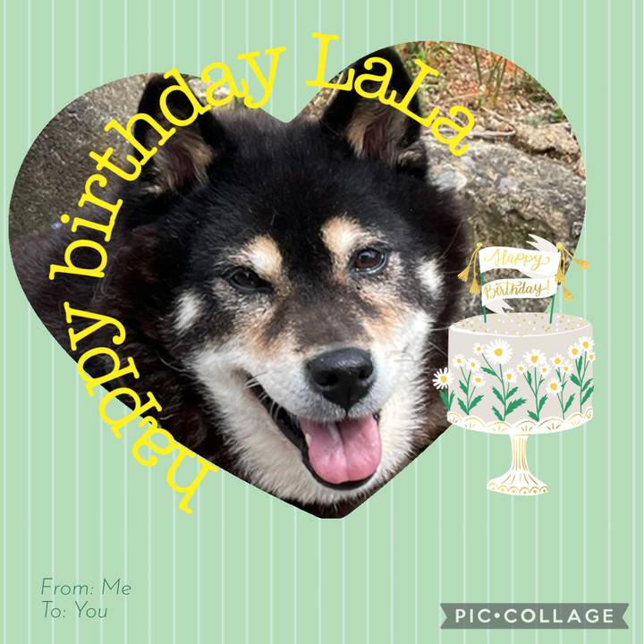 83adb570 6495 4f95 8a12 46b10f357238 1744421775176