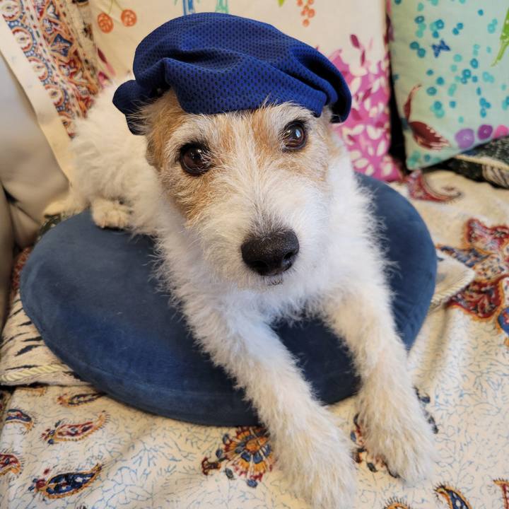 83adeeb8 52b4 4d66 b0ba 6be7166bcaa5 1753831705214