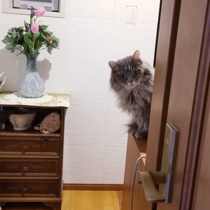 83adefe1 403a 44b1 b91d 02682e8cc481 1546658221745