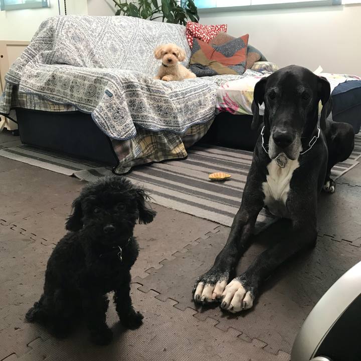 83adfe76 ca52 42fd b8fd 86ebf385718a 1532902854146