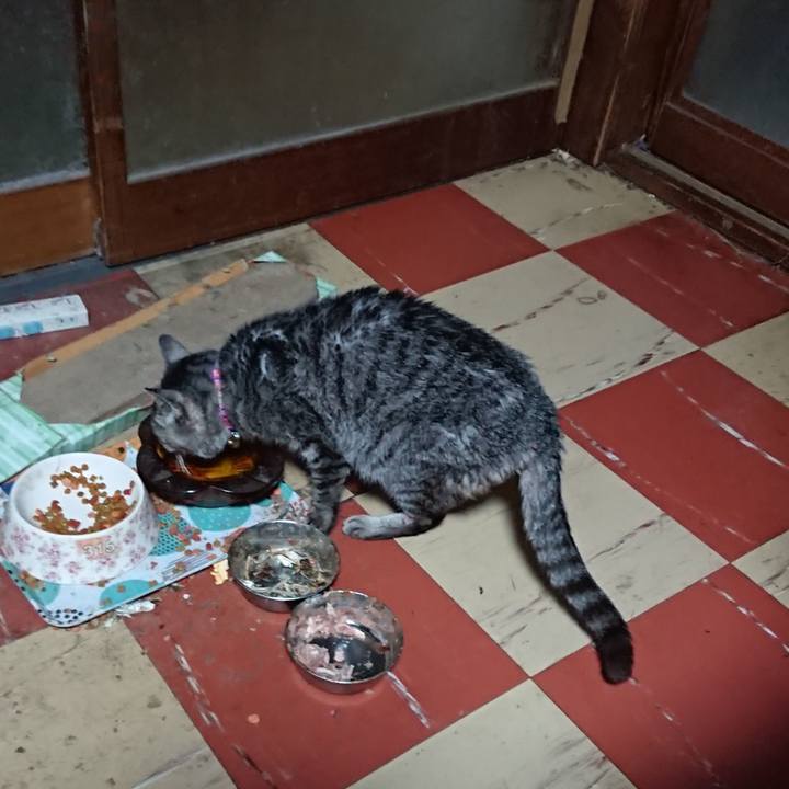 83ae0659 02e0 408e 8f9c fc75aa5beff0 1579294664456