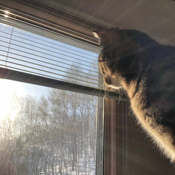 83ae0ad5 01f9 4b0f a5df 38b8467227d6 1743198548647