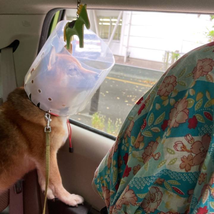 83ae5058 ca75 4d5e b46b 70bfd3c965f2 1666668596469