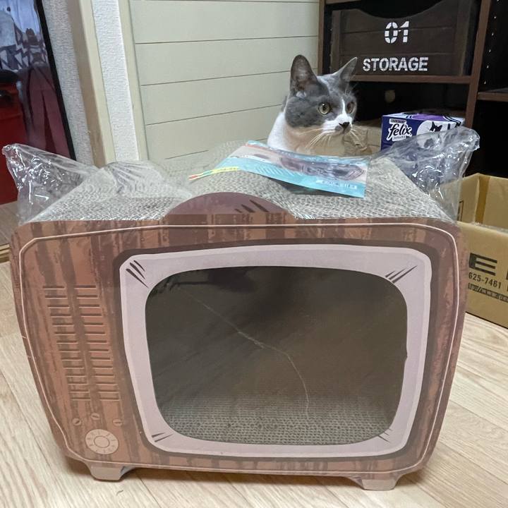 83ae5b49 0a26 44ae 8ac6 068dfb47c118 1669274460524