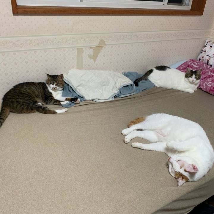 83ae89e3 f457 4040 be1e 02a263dd989a 1627215445883