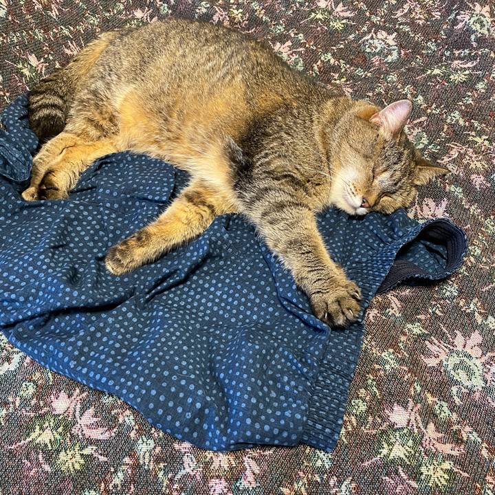 83aeacd2 3ccb 4059 9bff 8ef12f9ee3a6 1750650889429