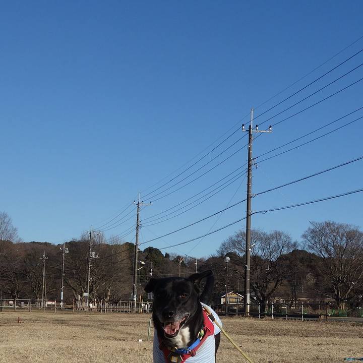 83aeaddf 2acf 49ca 92c5 12e96525934b 1674956218756