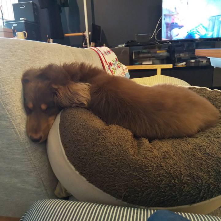 83aeae6d 0b56 489a a49f f2397b2b4085 1566631117401