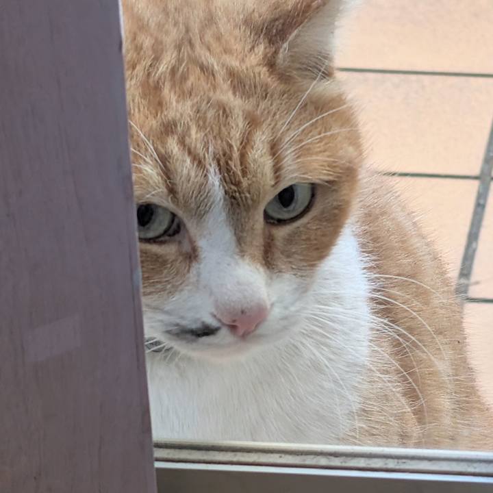 83aedc40 2f6a 4e69 88e9 610fa544fc5f 1735813259892