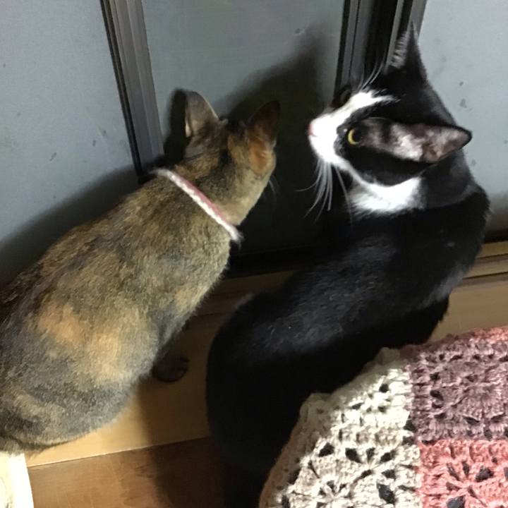 83aedd0b caf3 4d27 9dc8 cd0a96a3eedc 1658579245212