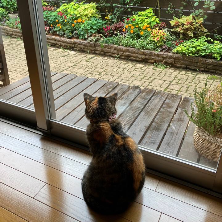 83aef348 9659 466d 9338 44d86b88e652 1759455169591